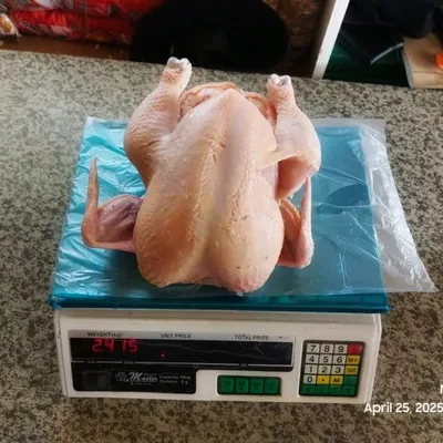 Free-range organic desi chicken